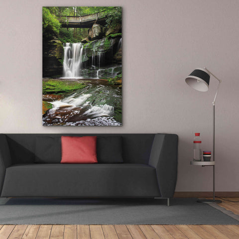 Image of 'Elakala Falls West I' by Alan Majchrowicz,Giclee Canvas Wall Art,40x60
