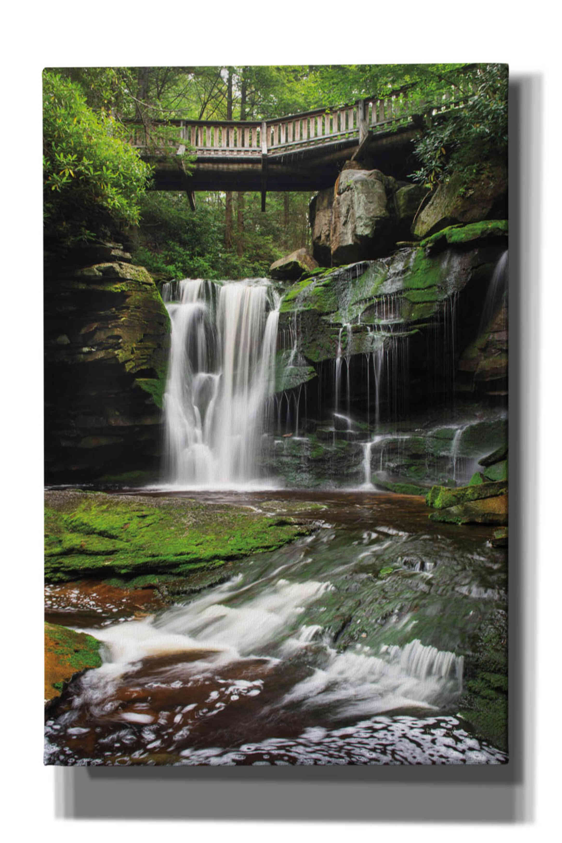 'Elakala Falls West I' by Alan Majchrowicz,Giclee Canvas Wall Art