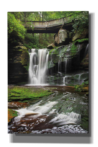 Image of 'Elakala Falls West I' by Alan Majchrowicz,Giclee Canvas Wall Art