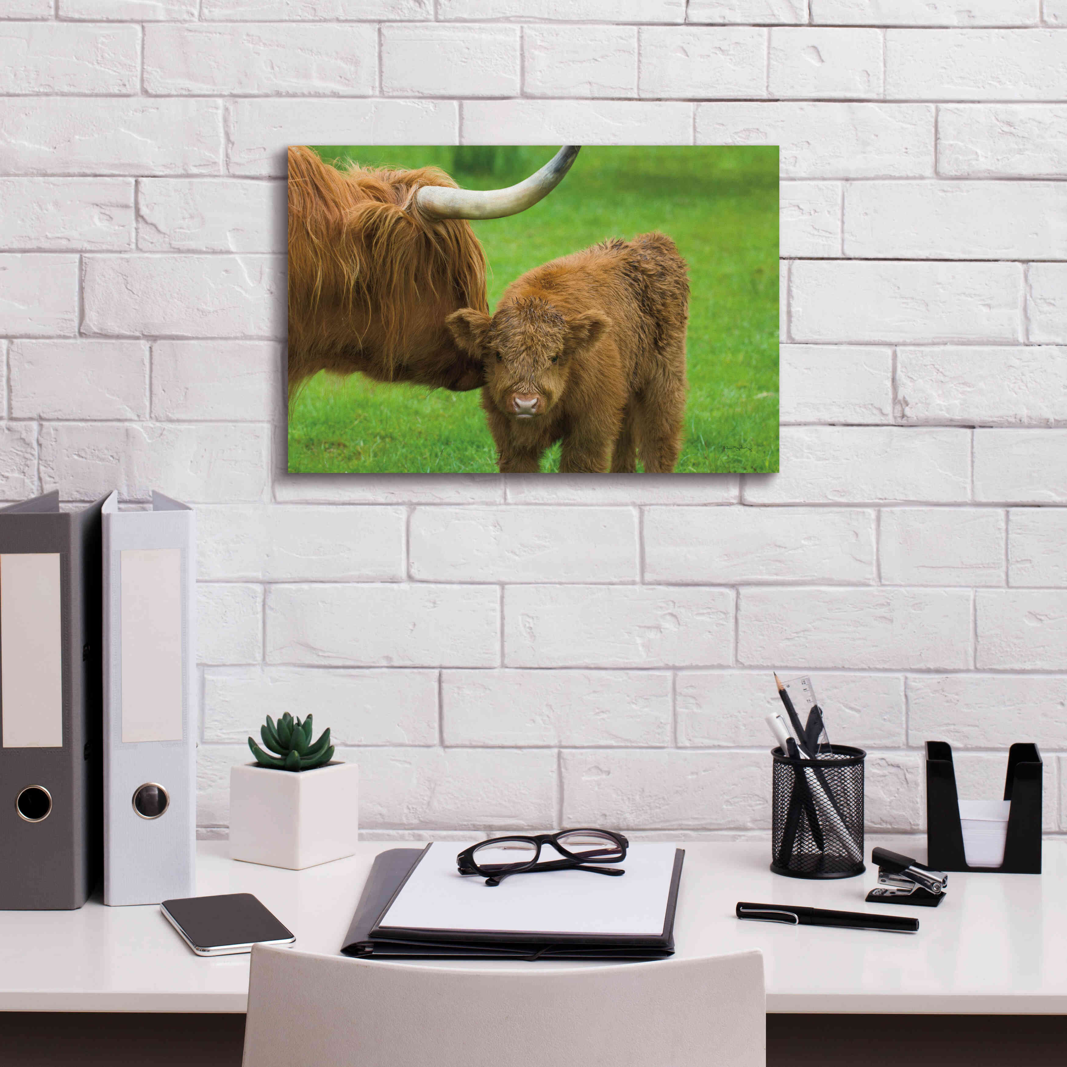 'Scottish Highland Cattle VII' by Alan Majchrowicz,Giclee Canvas Wall Art,18x12