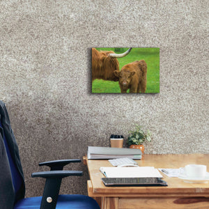 'Scottish Highland Cattle VII' by Alan Majchrowicz,Giclee Canvas Wall Art,18x12