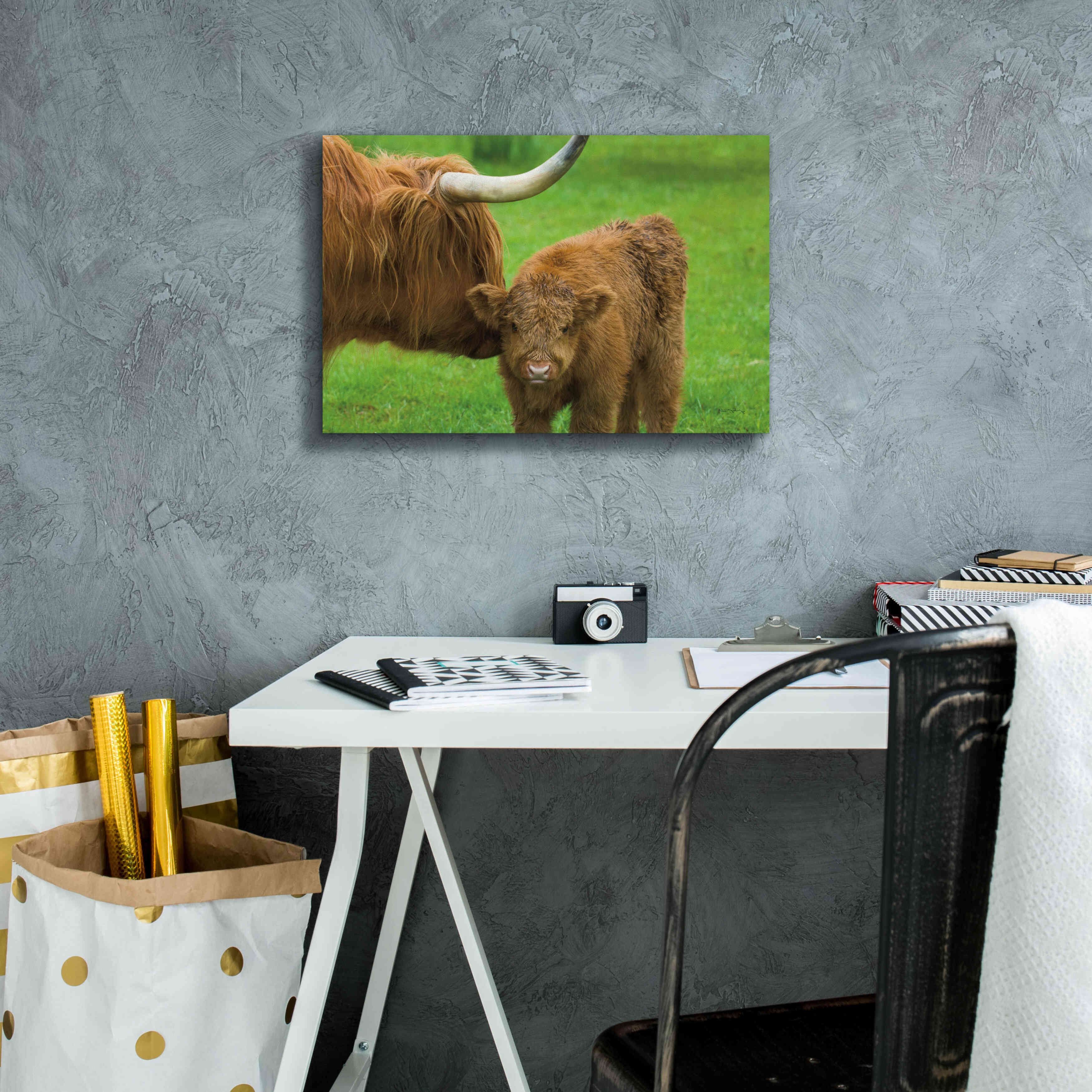 'Scottish Highland Cattle VII' by Alan Majchrowicz,Giclee Canvas Wall Art,18x12