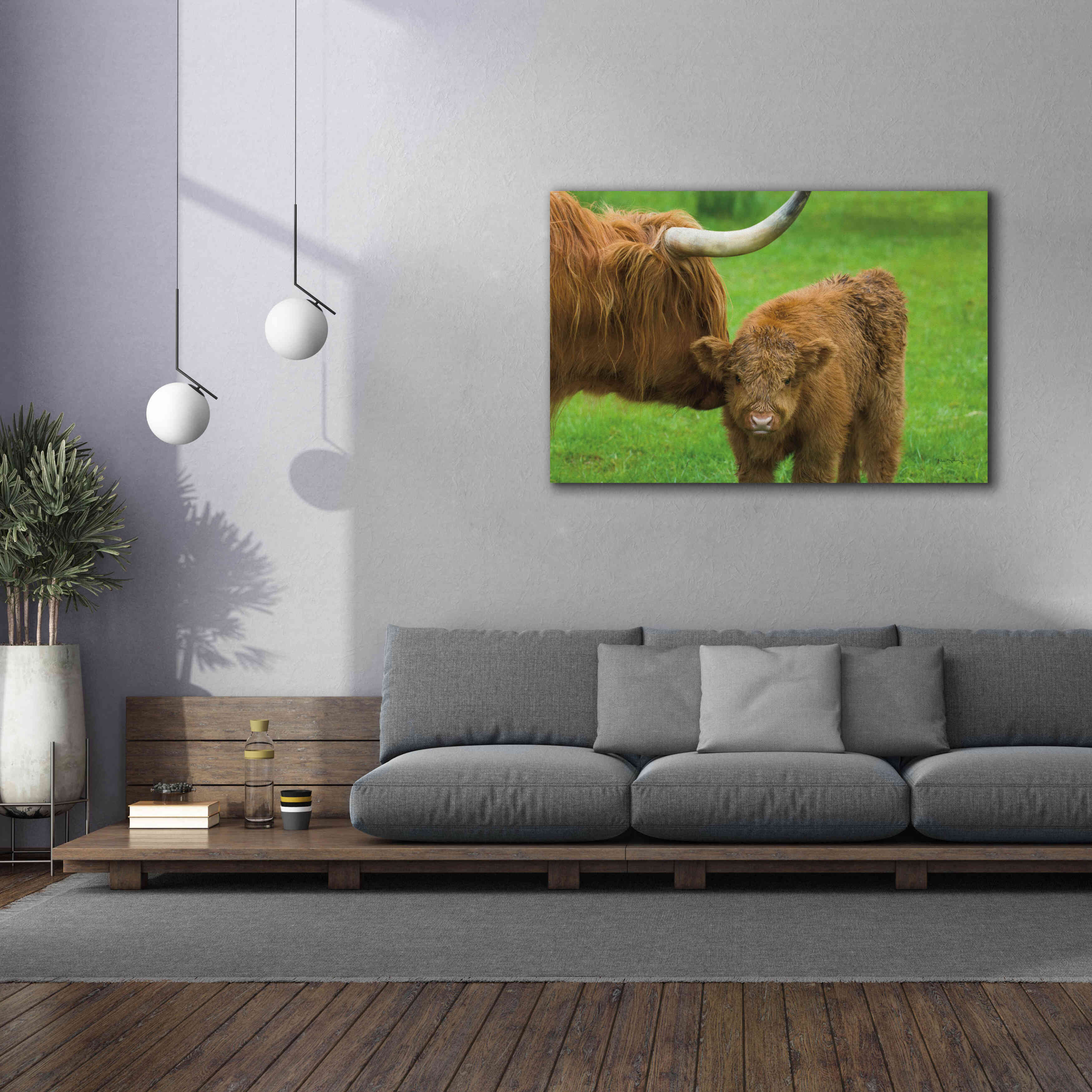'Scottish Highland Cattle VII' by Alan Majchrowicz,Giclee Canvas Wall Art,60x40