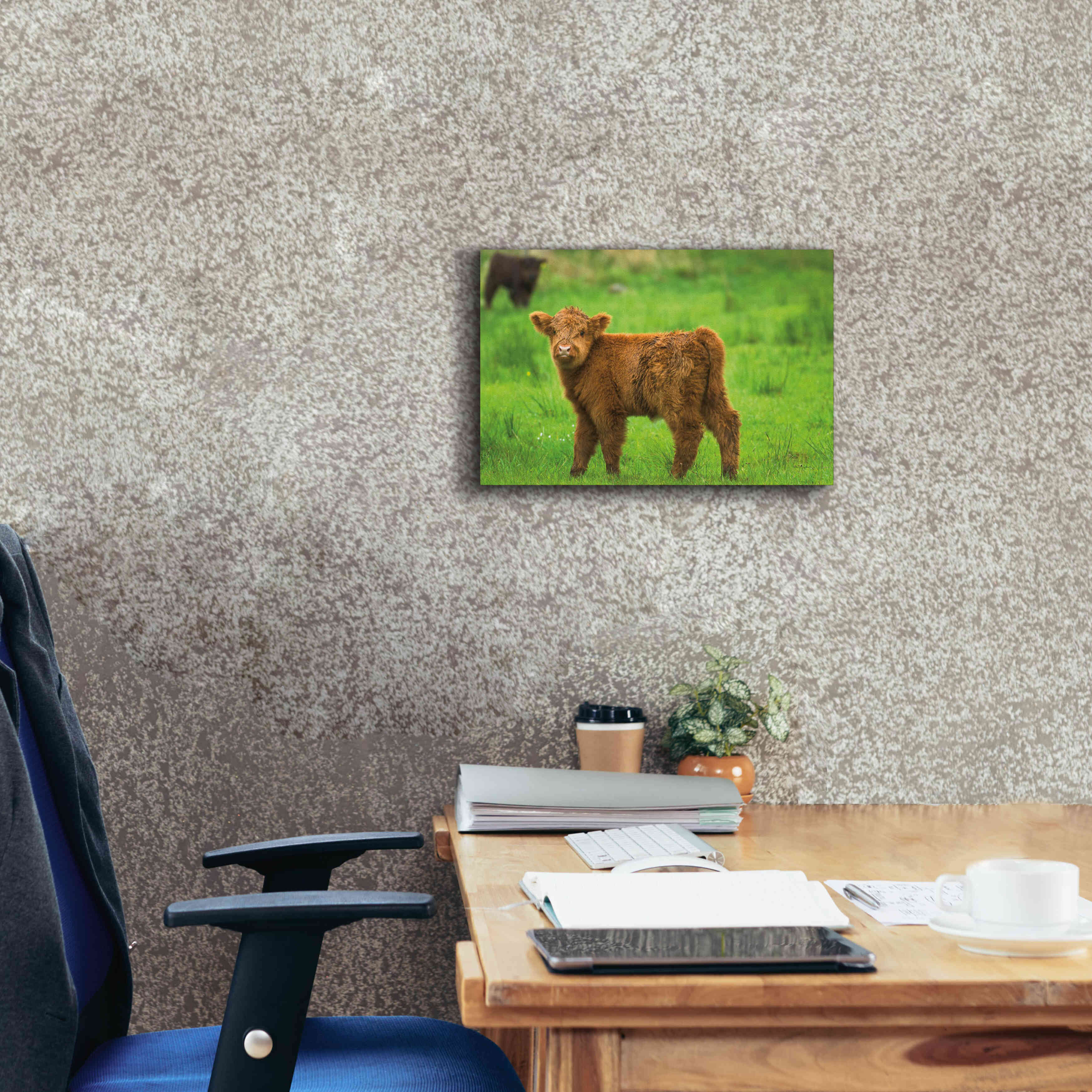 'Scottish Highland Cattle X' by Alan Majchrowicz,Giclee Canvas Wall Art,18x12
