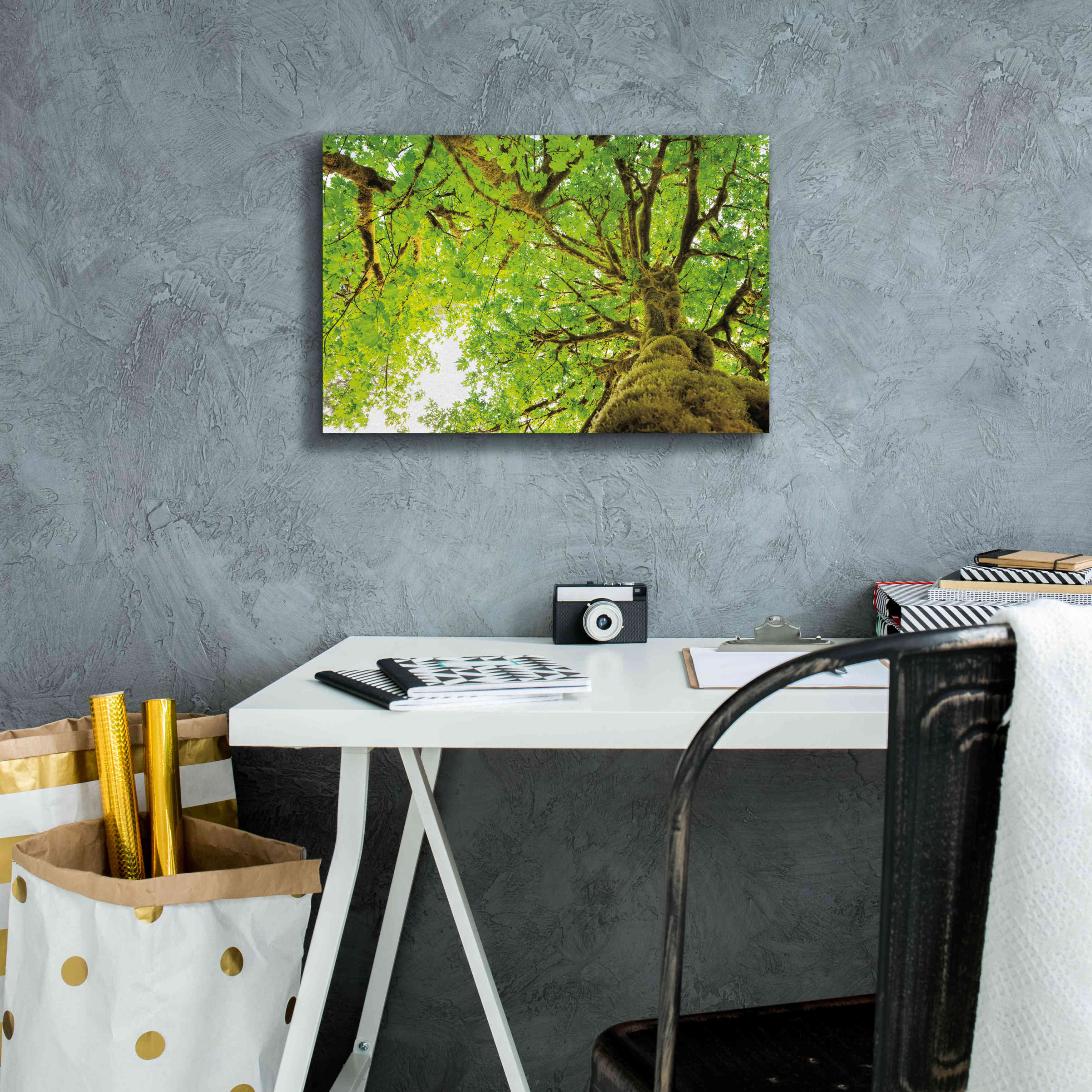 'Big Leaf Maple Trees II' by Alan Majchrowicz,Giclee Canvas Wall Art,18x12