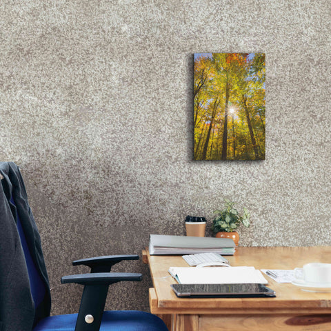 Image of 'Autumn Foliage Sunburst III' by Alan Majchrowicz,Giclee Canvas Wall Art,12x18