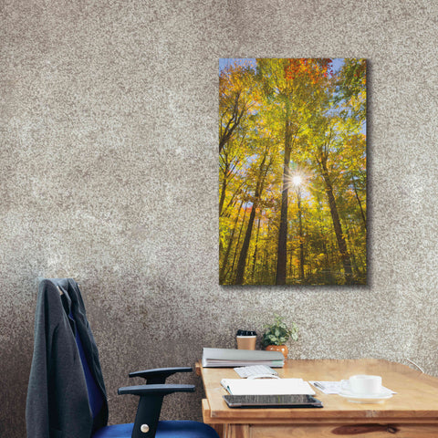 Image of 'Autumn Foliage Sunburst III' by Alan Majchrowicz,Giclee Canvas Wall Art,26x40