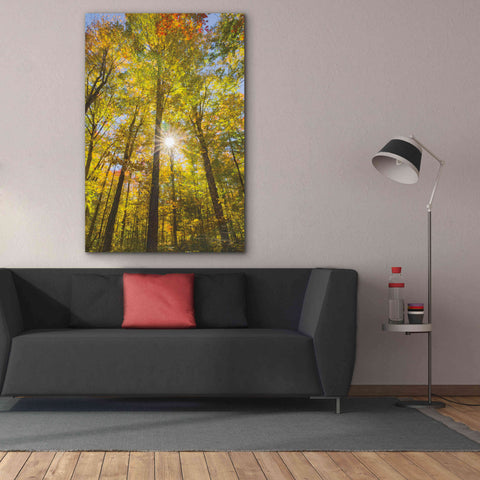 Image of 'Autumn Foliage Sunburst III' by Alan Majchrowicz,Giclee Canvas Wall Art,40x60