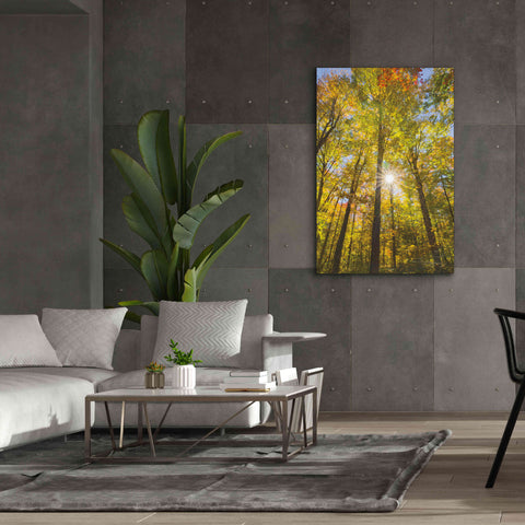 Image of 'Autumn Foliage Sunburst III' by Alan Majchrowicz,Giclee Canvas Wall Art,40x60