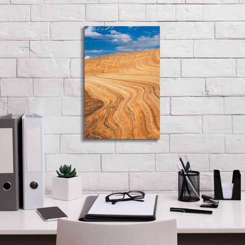Image of 'Coyote Buttes V' by Alan Majchrowicz,Giclee Canvas Wall Art,12x18