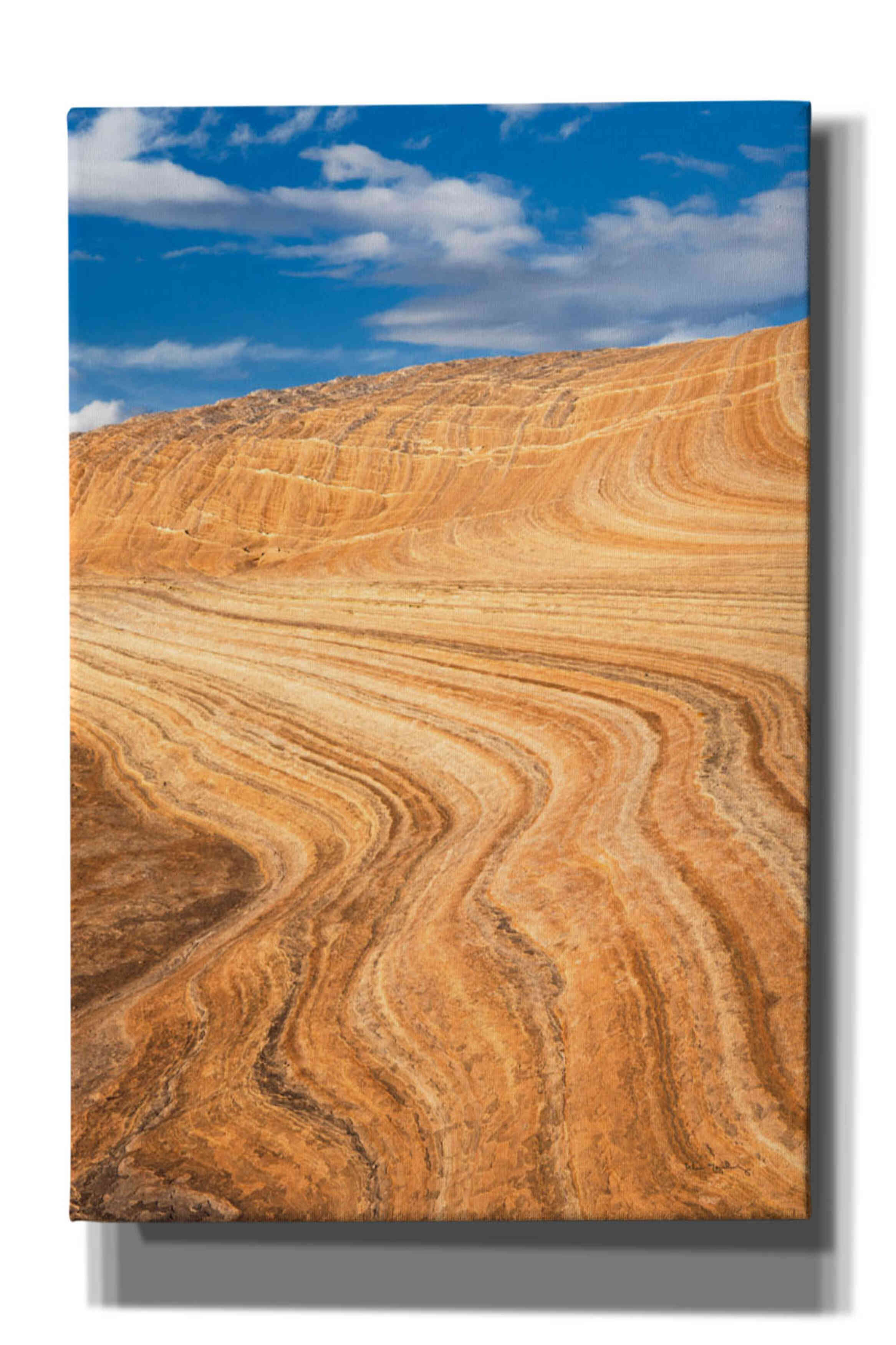 'Coyote Buttes V' by Alan Majchrowicz,Giclee Canvas Wall Art