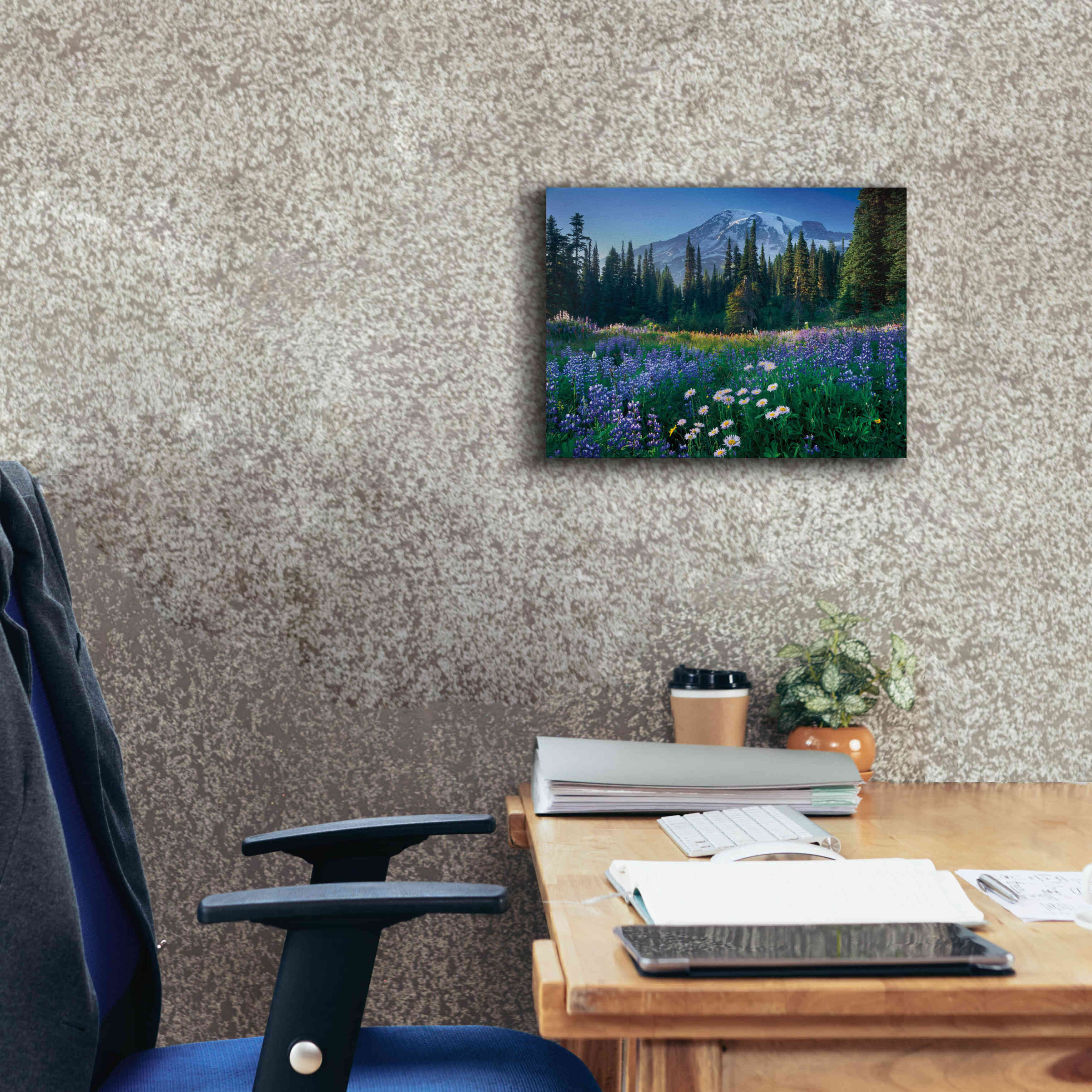 'Mount Rainier' by Alan Majchrowicz,Giclee Canvas Wall Art,16x12