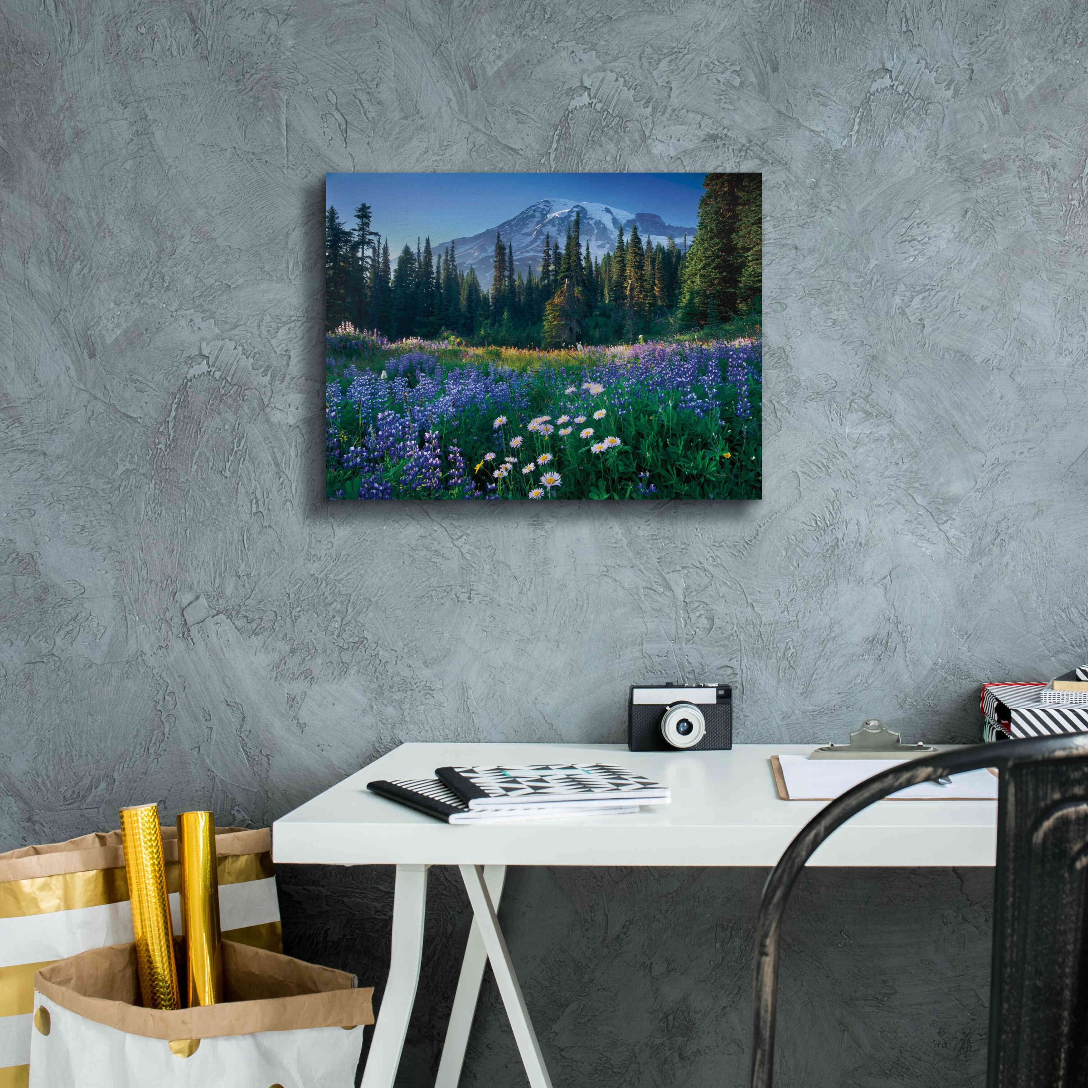 'Mount Rainier' by Alan Majchrowicz,Giclee Canvas Wall Art,16x12