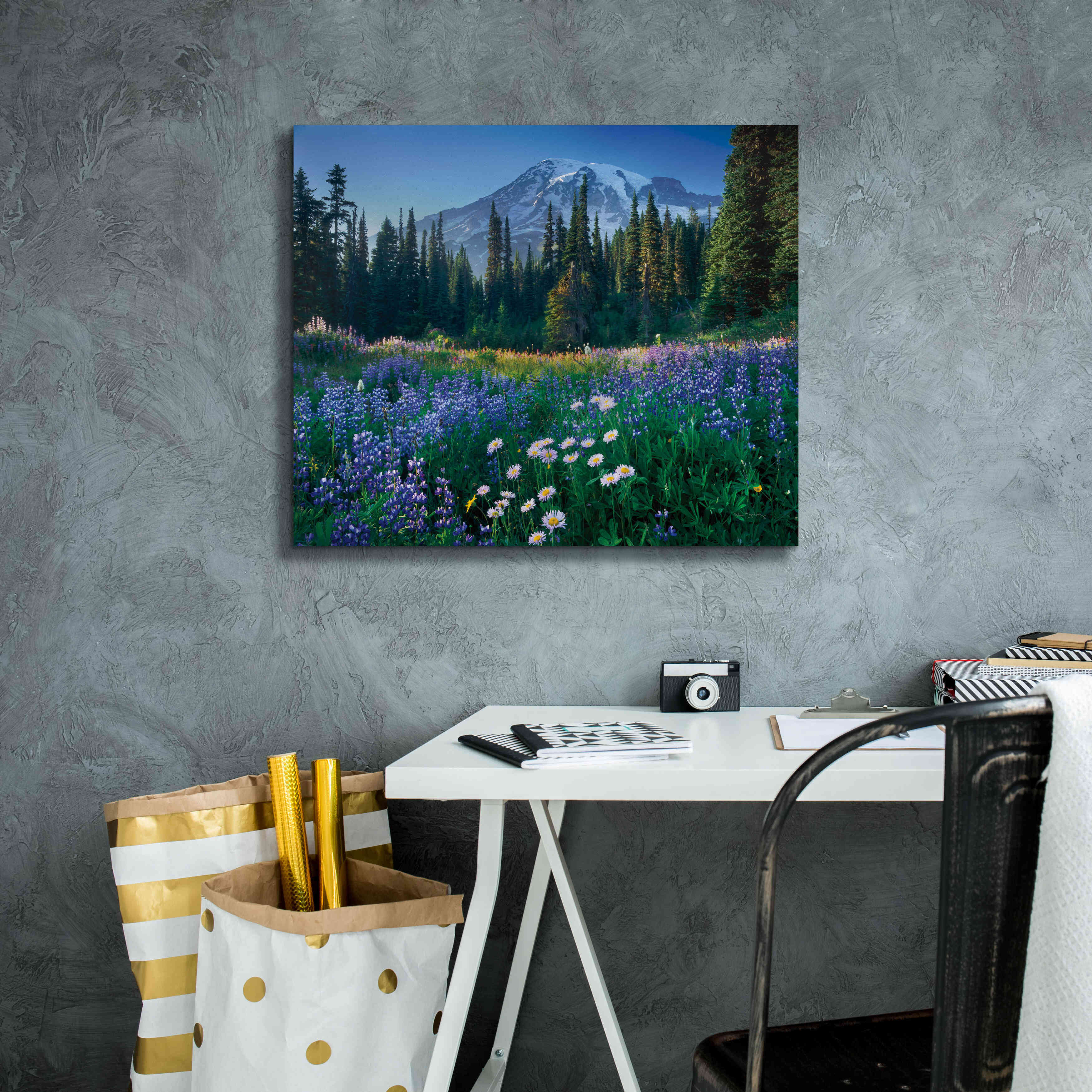 'Mount Rainier' by Alan Majchrowicz,Giclee Canvas Wall Art,24x20