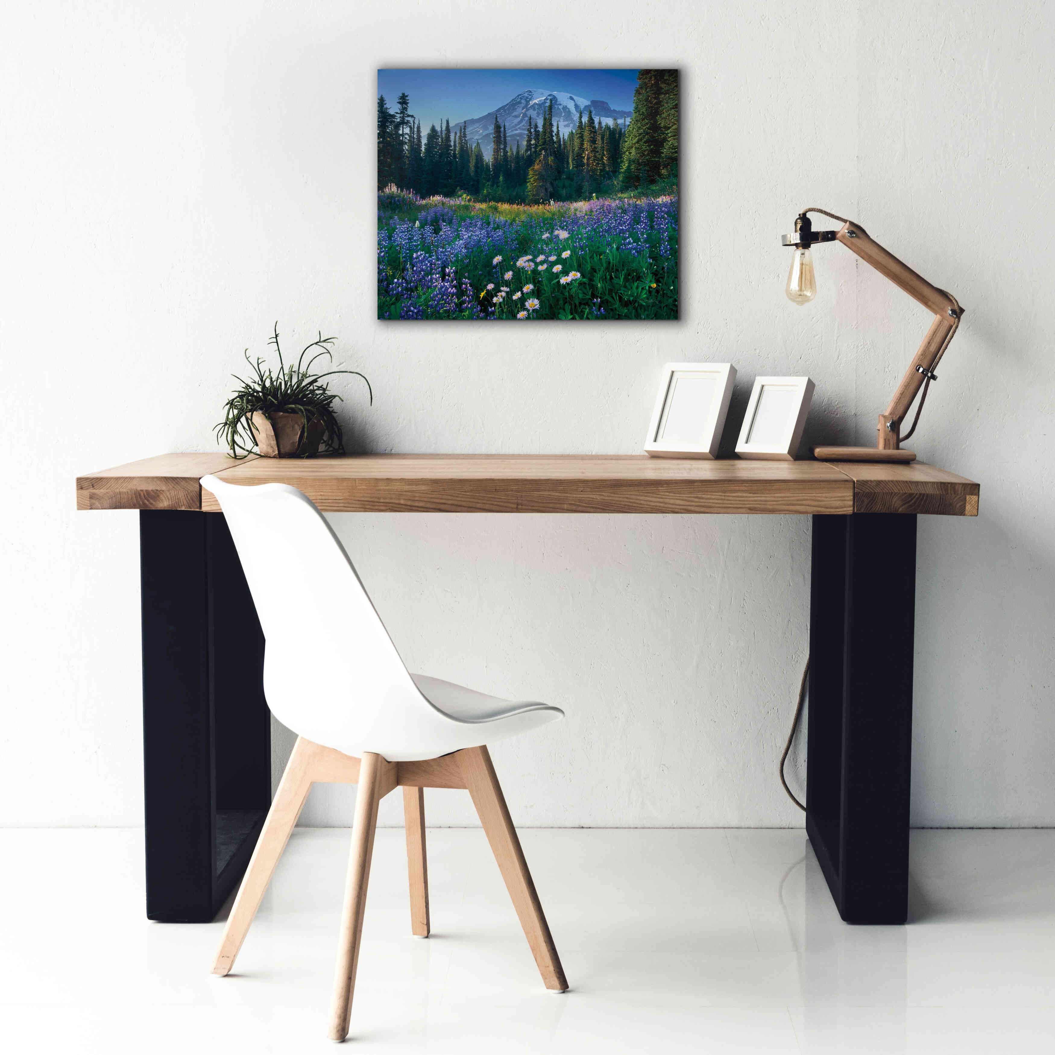 'Mount Rainier' by Alan Majchrowicz,Giclee Canvas Wall Art,24x20