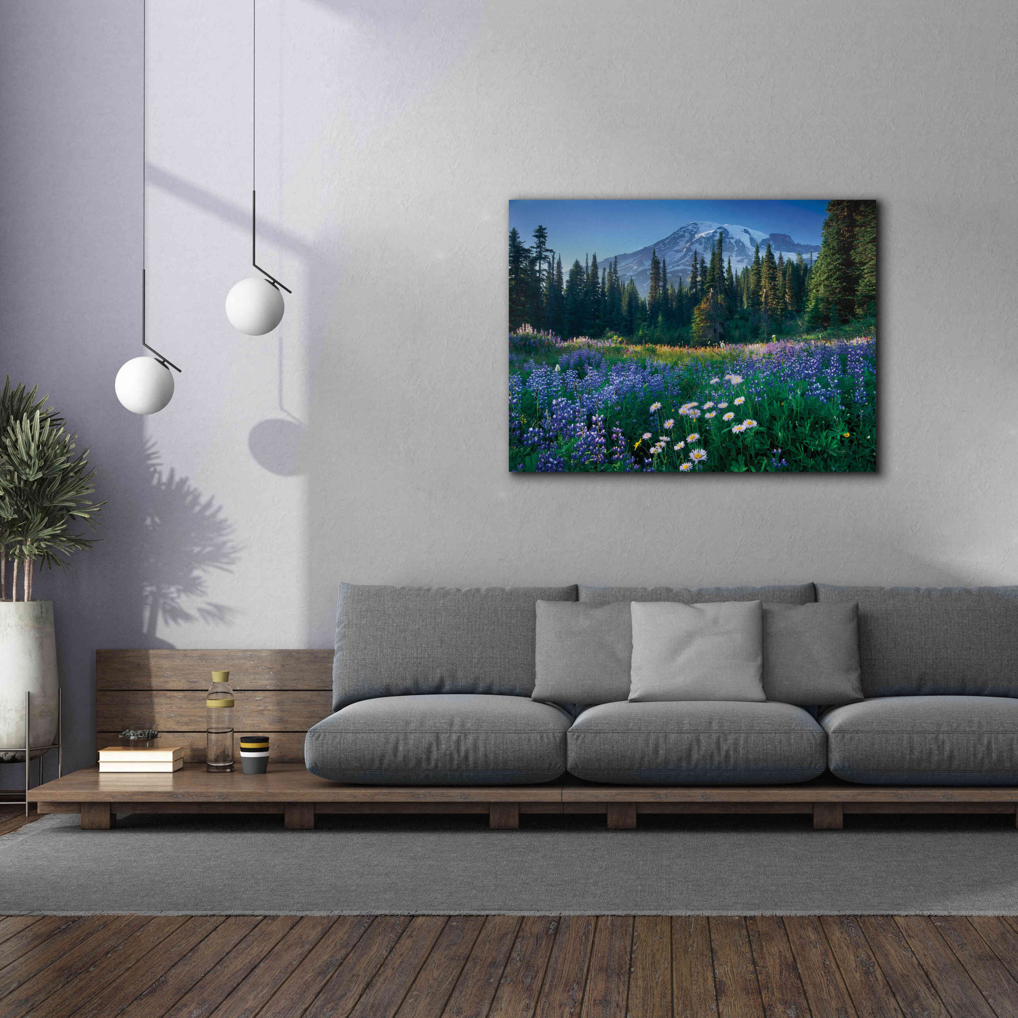 'Mount Rainier' by Alan Majchrowicz,Giclee Canvas Wall Art,54x40