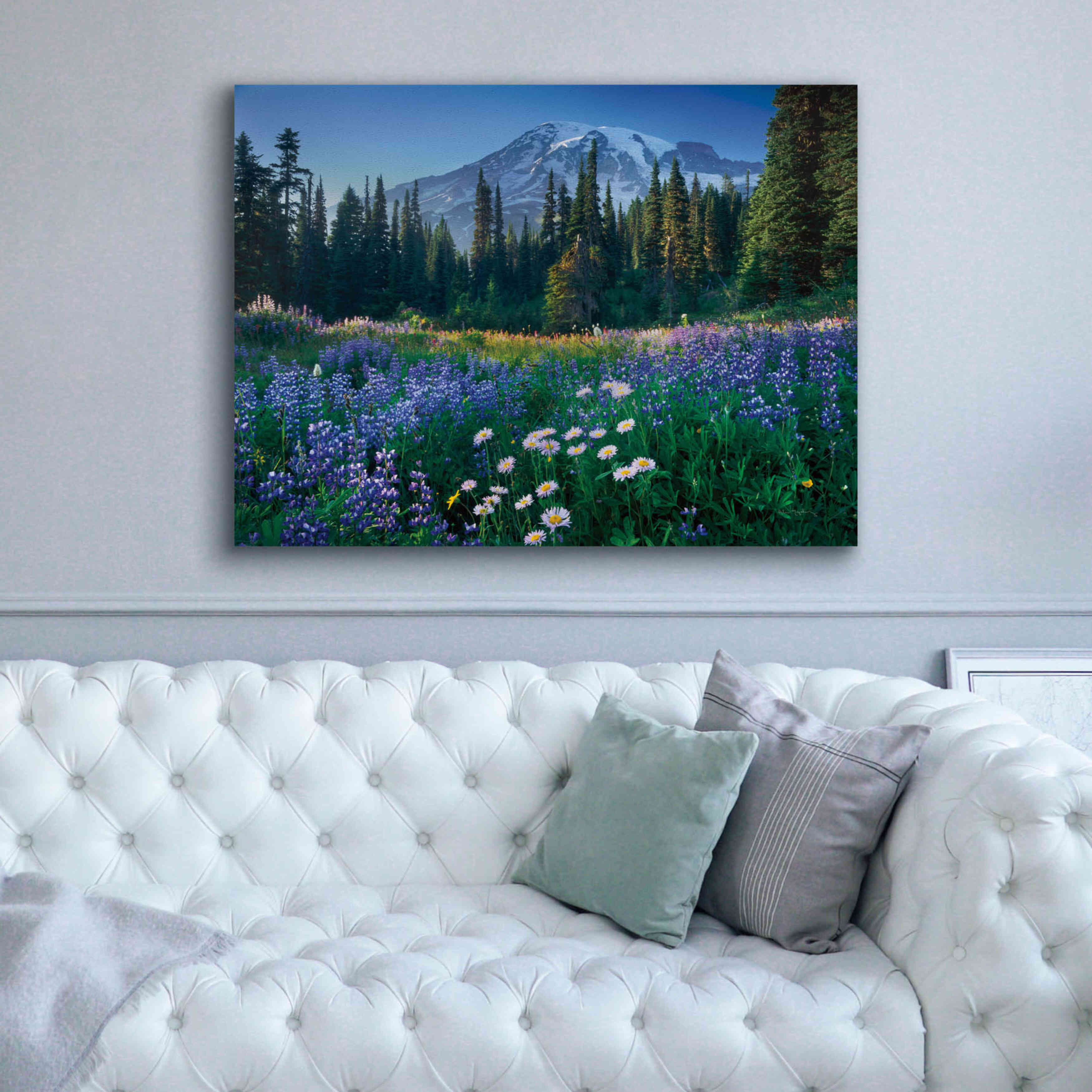 'Mount Rainier' by Alan Majchrowicz,Giclee Canvas Wall Art,54x40