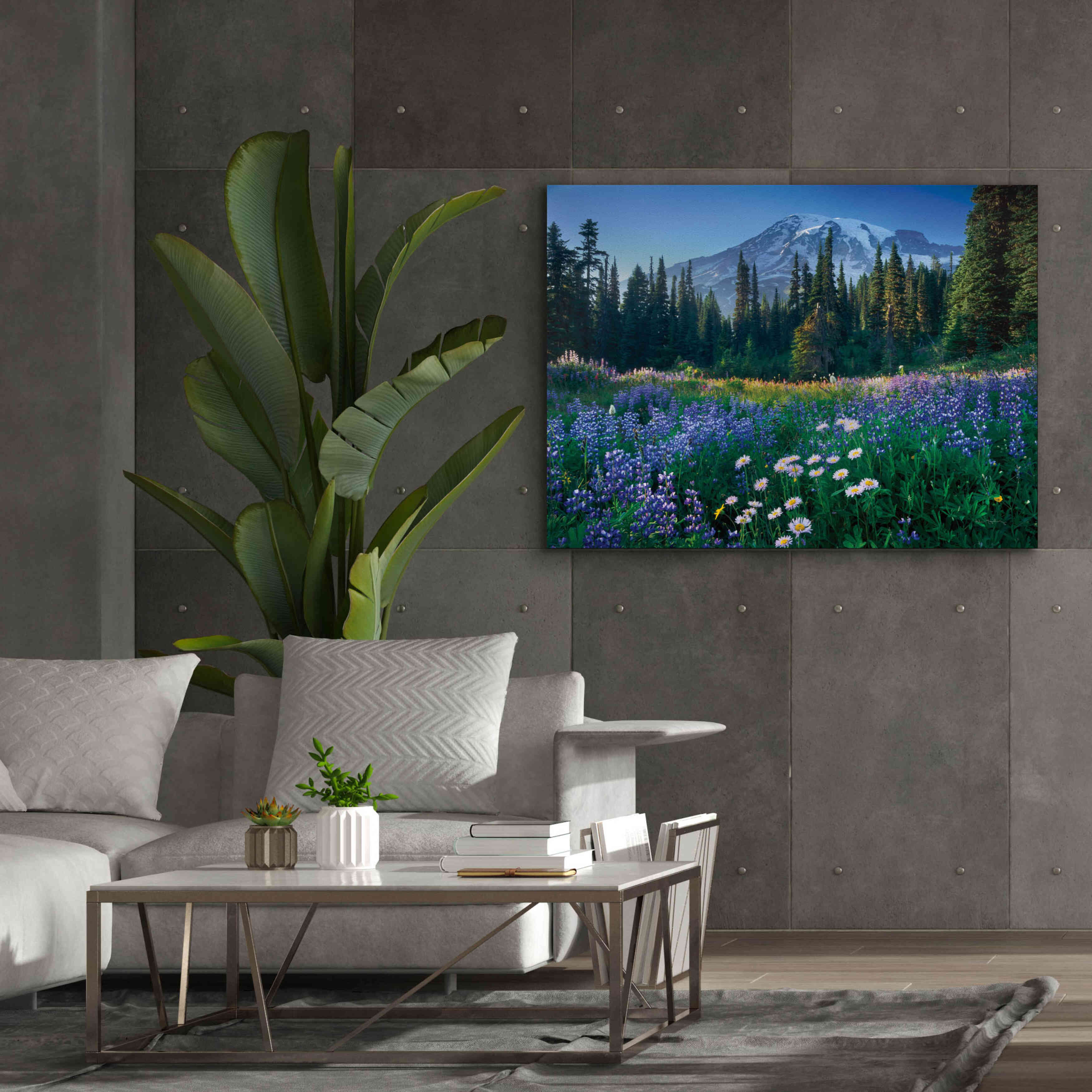 'Mount Rainier' by Alan Majchrowicz,Giclee Canvas Wall Art,54x40