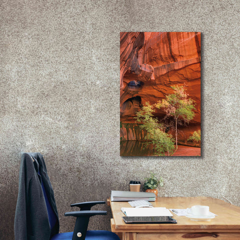 Image of 'Neon Canyon III' by Alan Majchrowicz,Giclee Canvas Wall Art,26x40