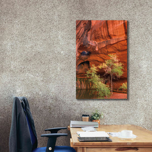 'Neon Canyon III' by Alan Majchrowicz,Giclee Canvas Wall Art,26x40