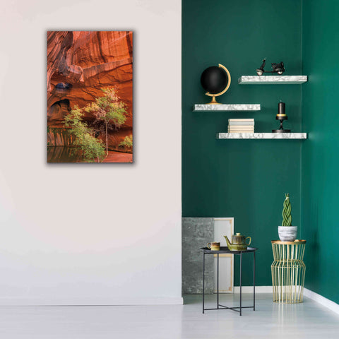 Image of 'Neon Canyon III' by Alan Majchrowicz,Giclee Canvas Wall Art,26x40