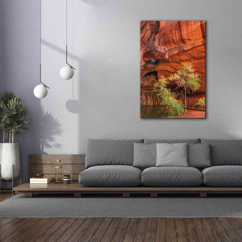 Image of 'Neon Canyon III' by Alan Majchrowicz,Giclee Canvas Wall Art,40x60