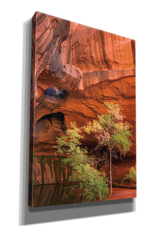 Image of 'Neon Canyon III' by Alan Majchrowicz,Giclee Canvas Wall Art