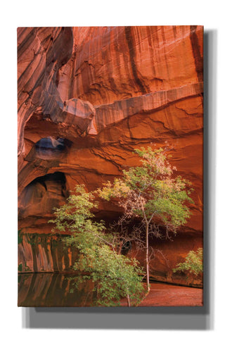 Image of 'Neon Canyon III' by Alan Majchrowicz,Giclee Canvas Wall Art