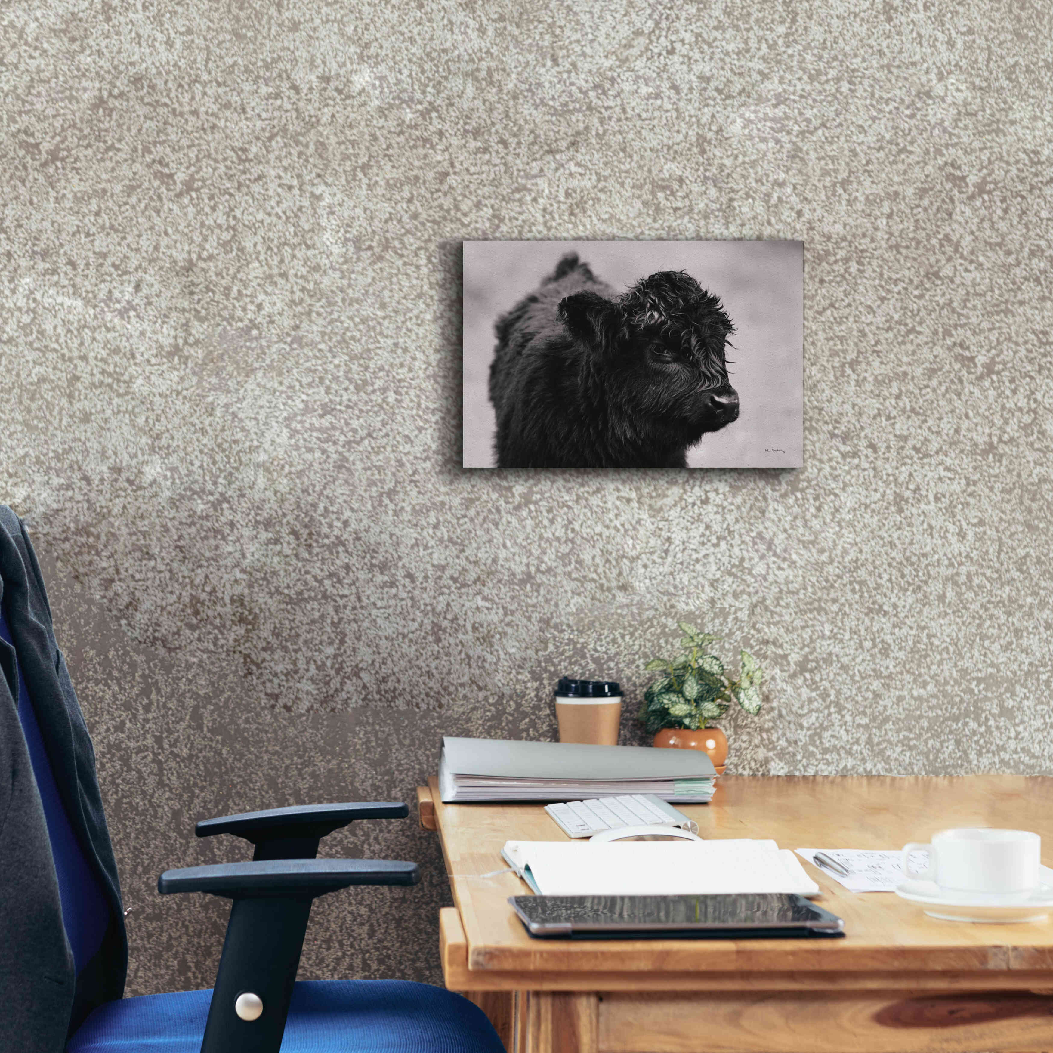 'Scottish Highland Cattle XI BW' by Alan Majchrowicz,Giclee Canvas Wall Art,18x12