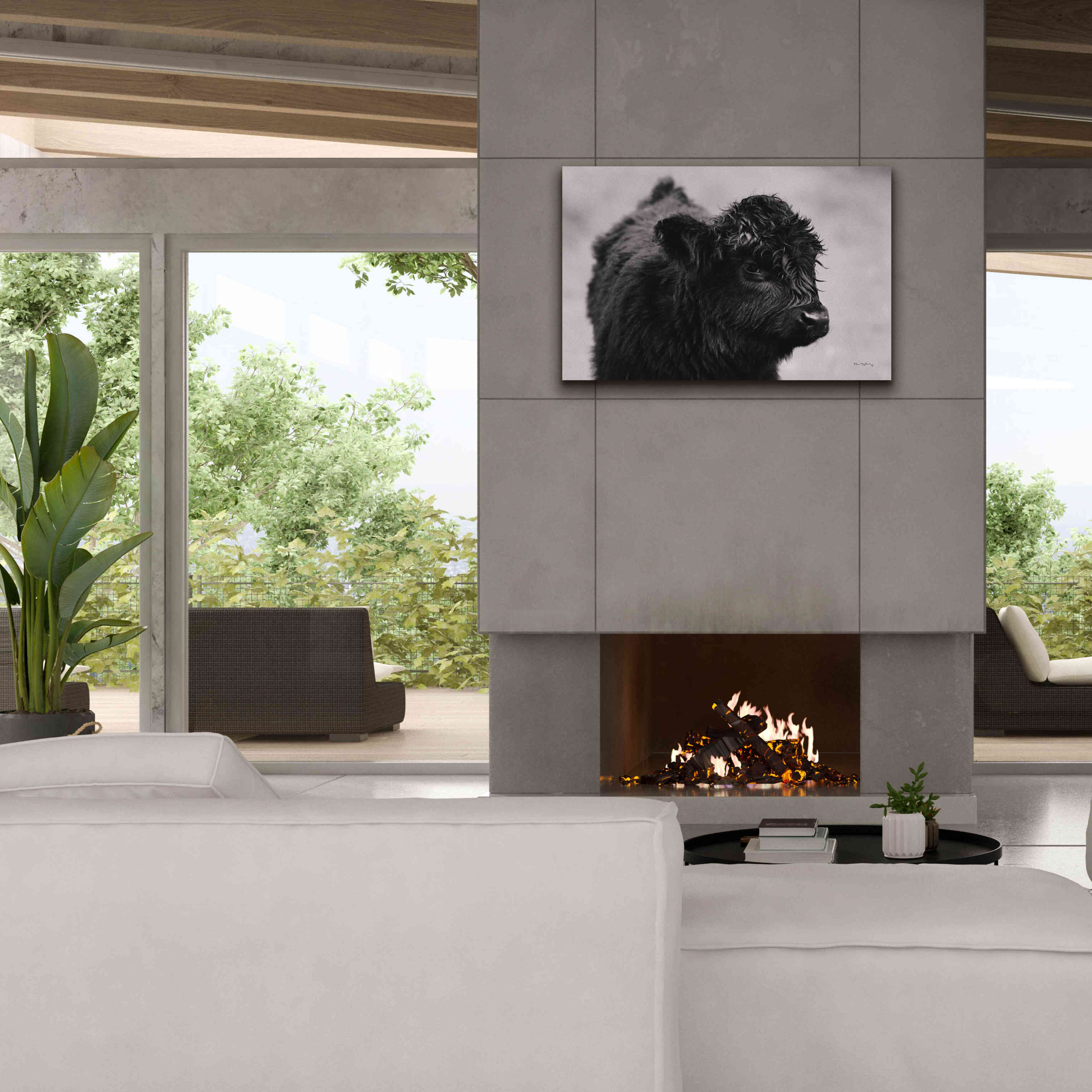 'Scottish Highland Cattle XI BW' by Alan Majchrowicz,Giclee Canvas Wall Art,40x26