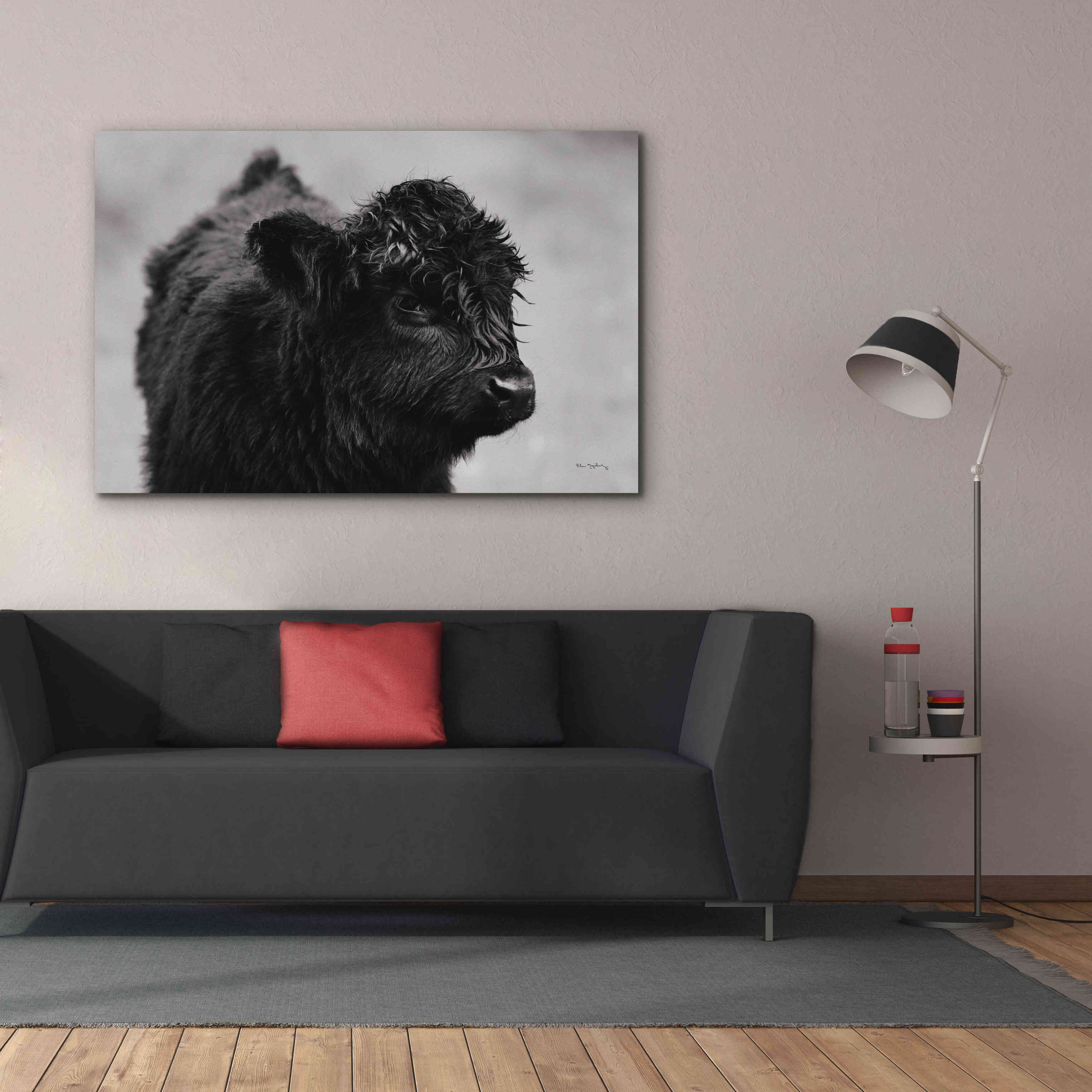 'Scottish Highland Cattle XI BW' by Alan Majchrowicz,Giclee Canvas Wall Art,60x40