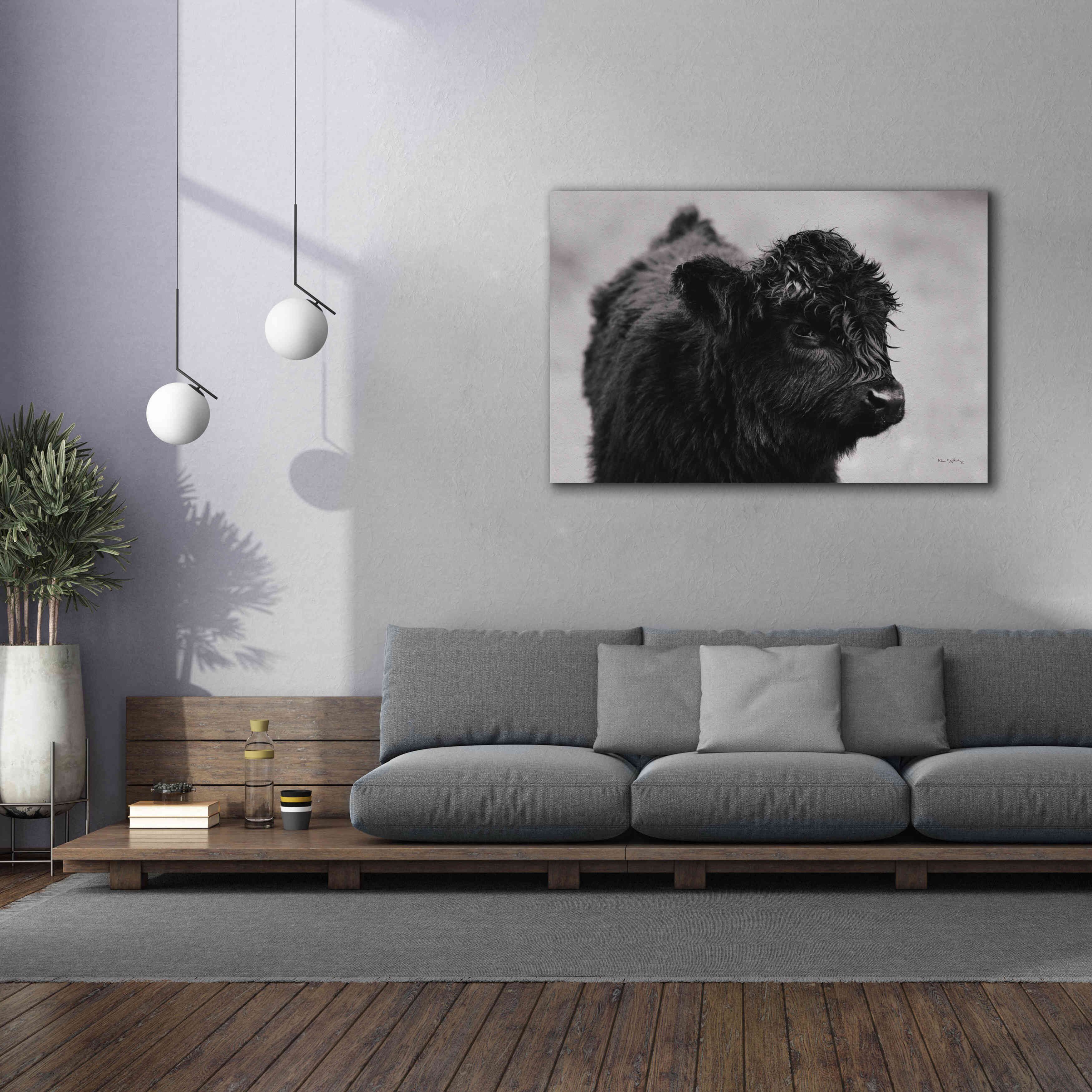 'Scottish Highland Cattle XI BW' by Alan Majchrowicz,Giclee Canvas Wall Art,60x40