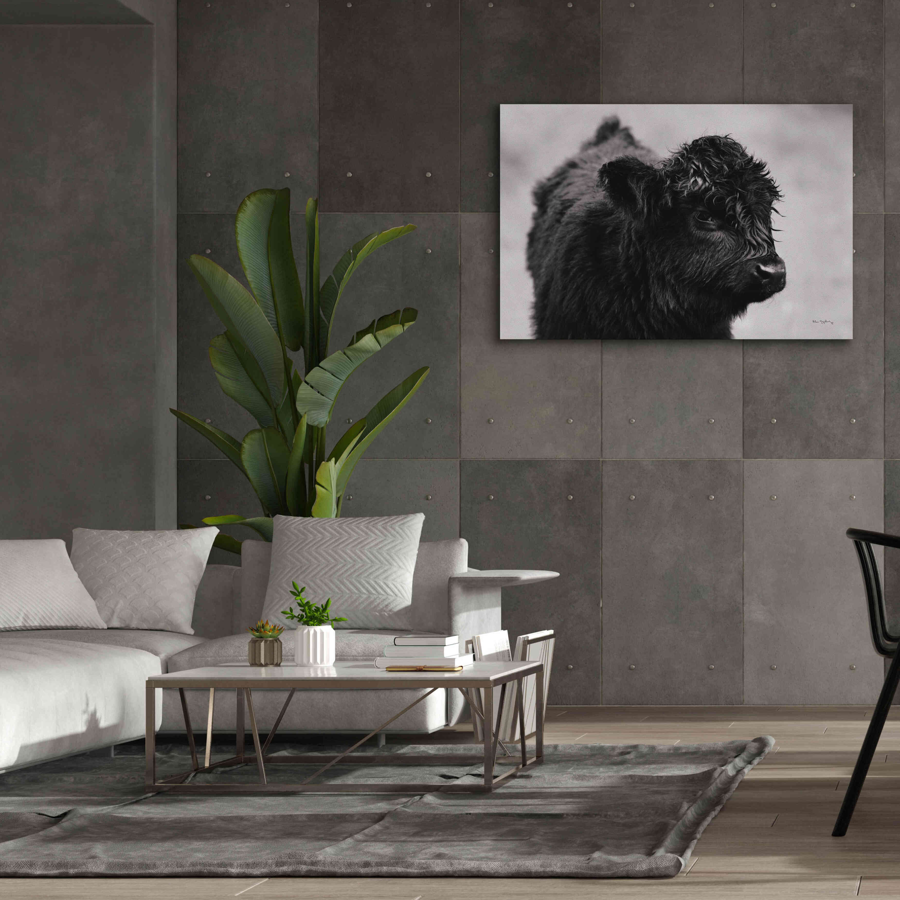 'Scottish Highland Cattle XI BW' by Alan Majchrowicz,Giclee Canvas Wall Art,60x40