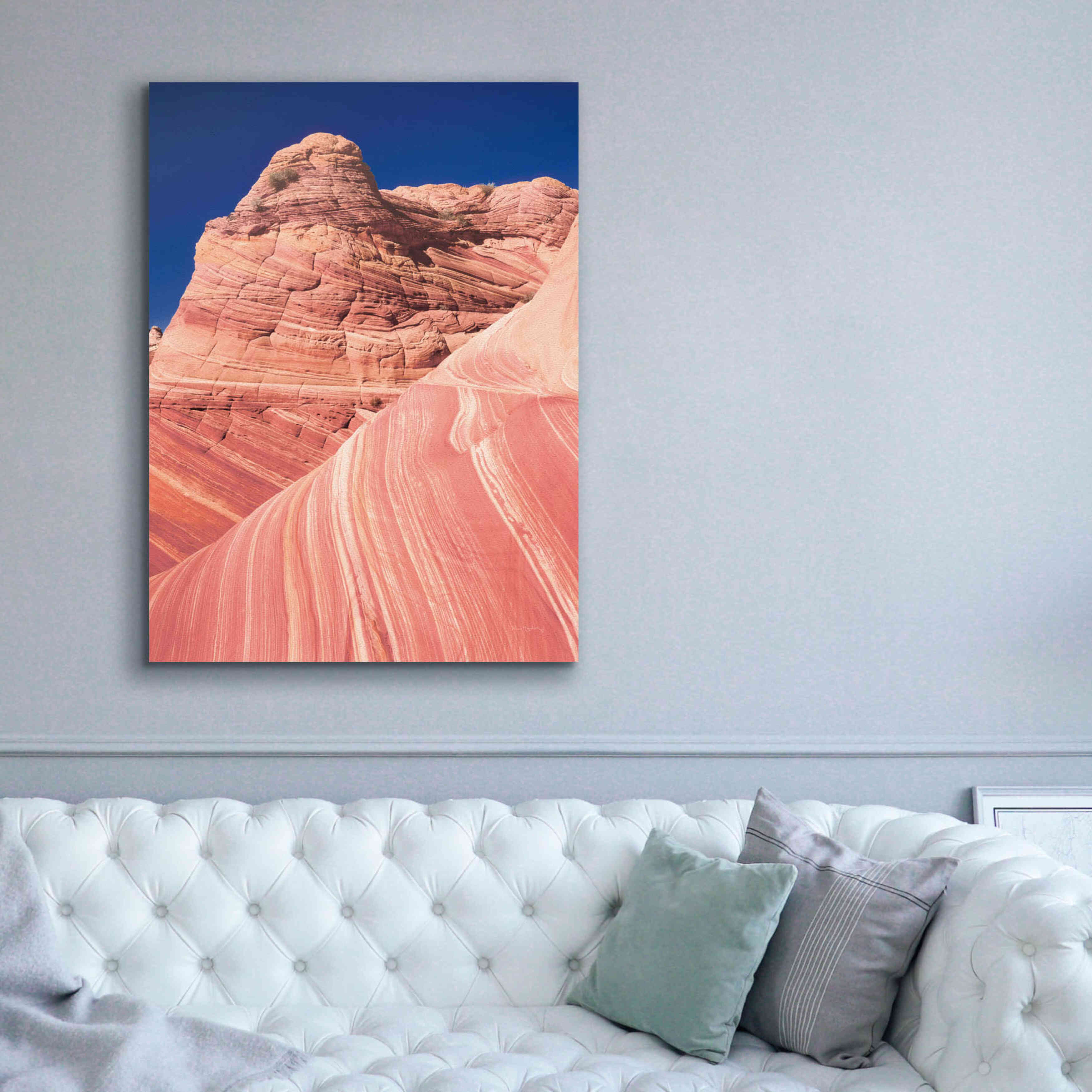 'Coyote Buttes I Blush' by Alan Majchrowicz,Giclee Canvas Wall Art,40x54
