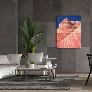 'Coyote Buttes I Blush' by Alan Majchrowicz,Giclee Canvas Wall Art,40x54