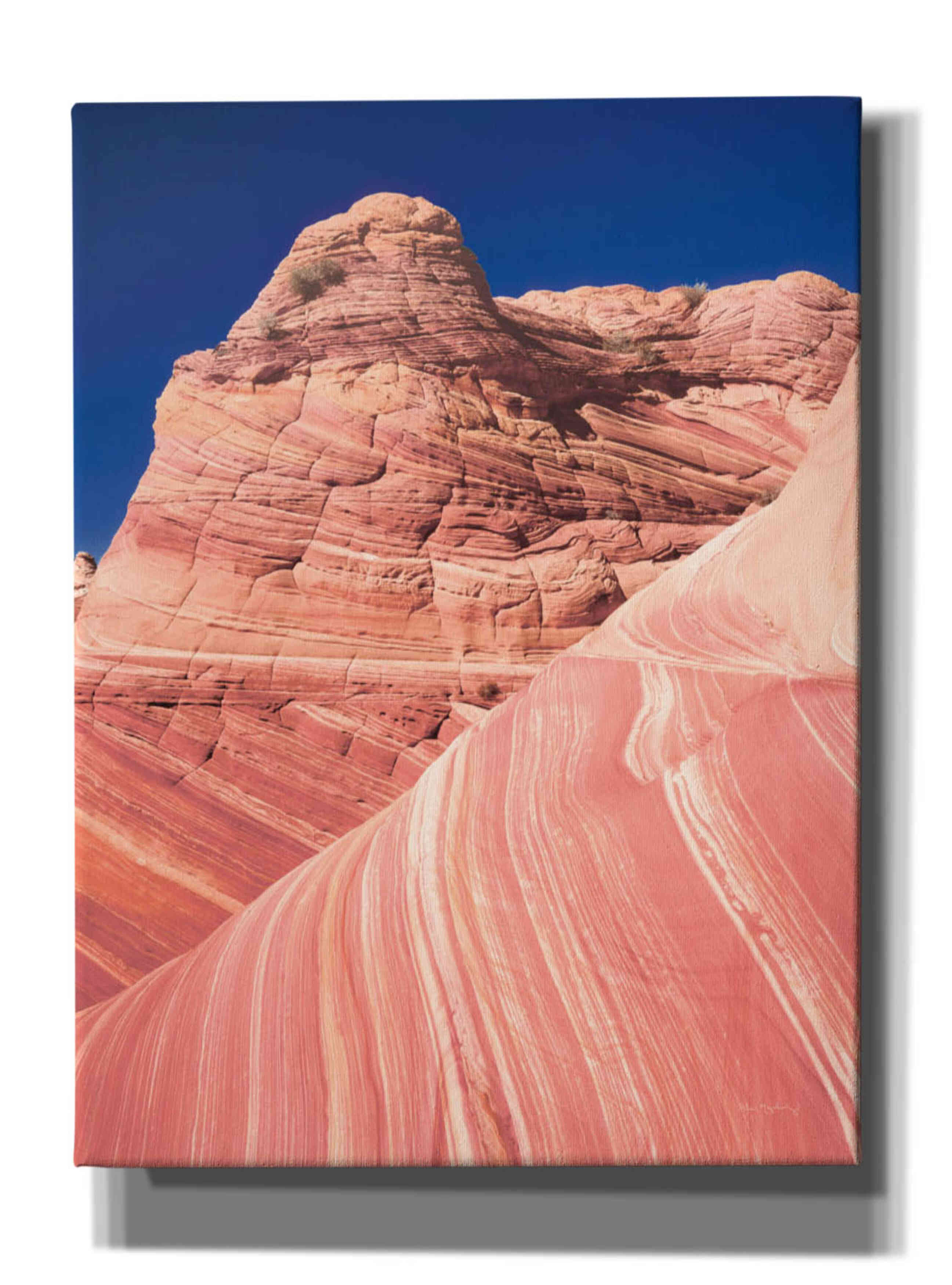 'Coyote Buttes I Blush' by Alan Majchrowicz,Giclee Canvas Wall Art