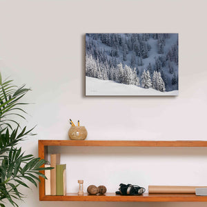 'North Cascades in Winter III' by Alan Majchrowicz,Giclee Canvas Wall Art,18x12