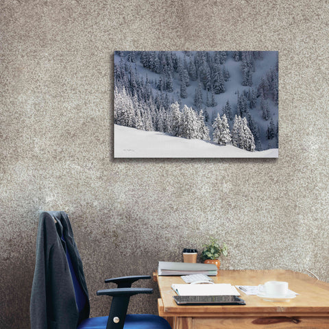 Image of 'North Cascades in Winter III' by Alan Majchrowicz,Giclee Canvas Wall Art,40x26