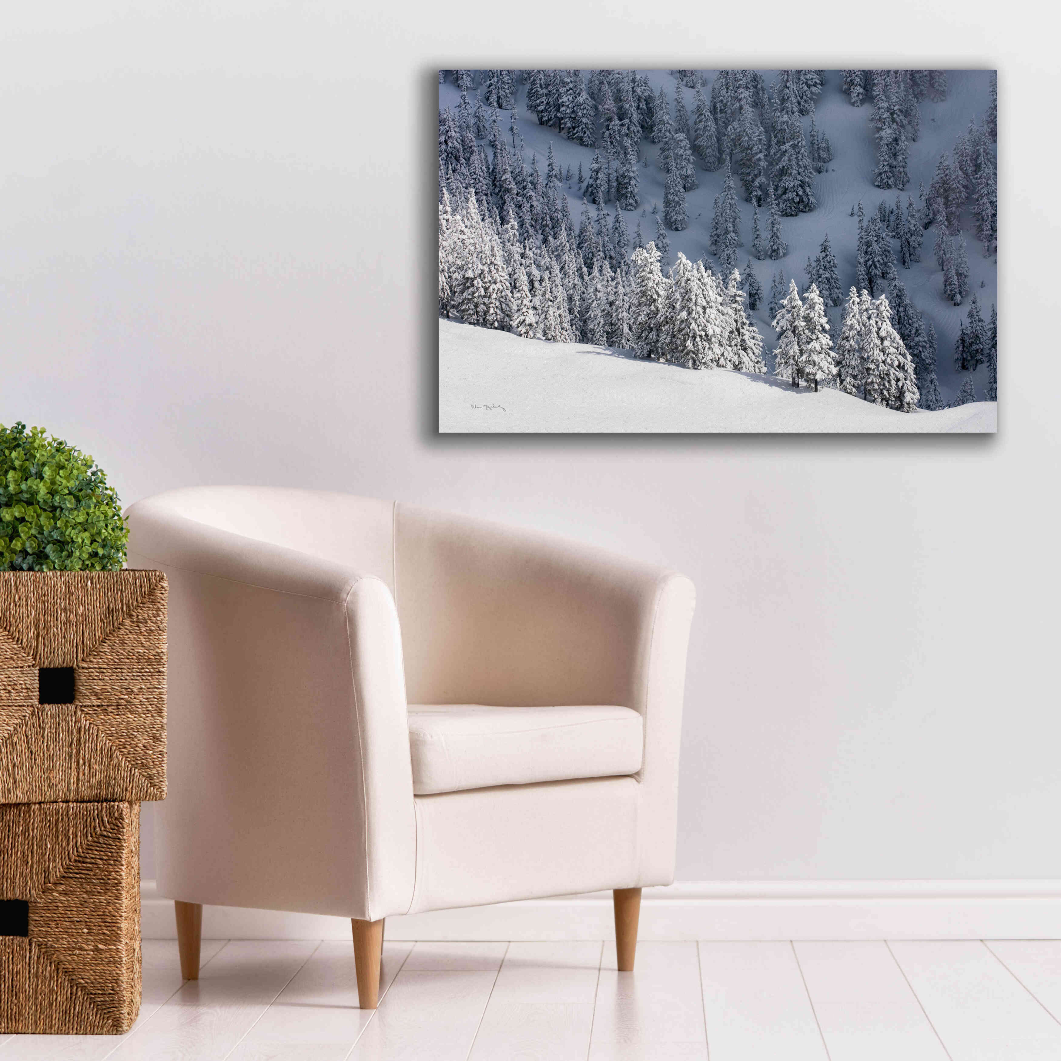 'North Cascades in Winter III' by Alan Majchrowicz,Giclee Canvas Wall Art,40x26