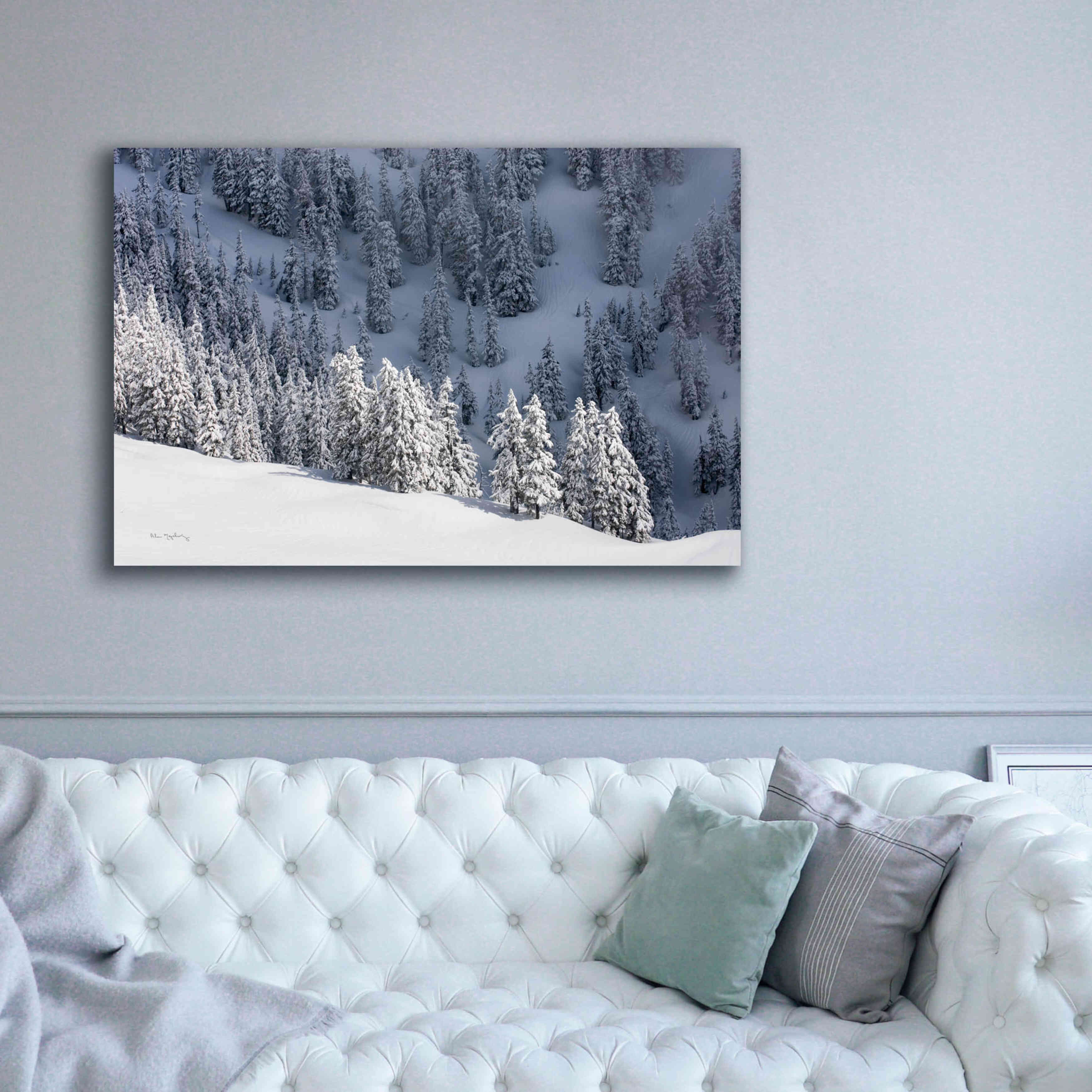 'North Cascades in Winter III' by Alan Majchrowicz,Giclee Canvas Wall Art,60x40
