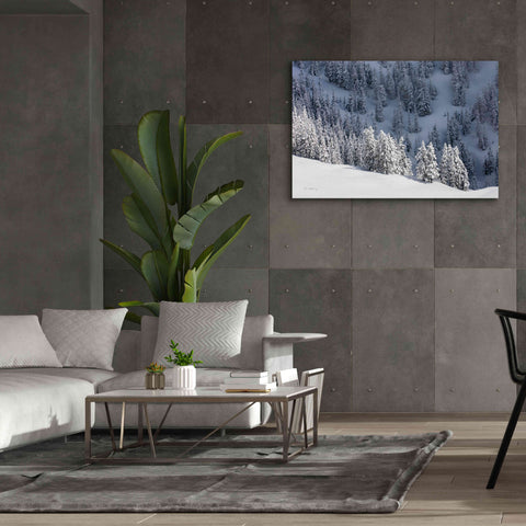 Image of 'North Cascades in Winter III' by Alan Majchrowicz,Giclee Canvas Wall Art,60x40