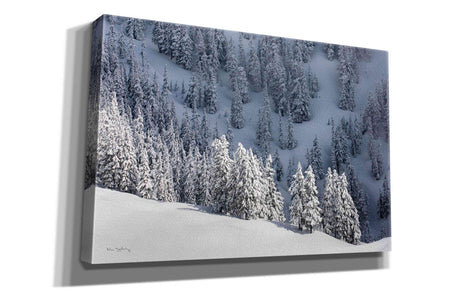 'North Cascades in Winter III' by Alan Majchrowicz,Giclee Canvas Wall Art