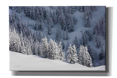 Image of 'North Cascades in Winter III' by Alan Majchrowicz,Giclee Canvas Wall Art