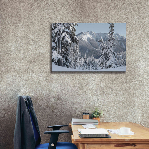 Image of 'Nooksack Ridge in Winter' by Alan Majchrowicz,Giclee Canvas Wall Art,40x26