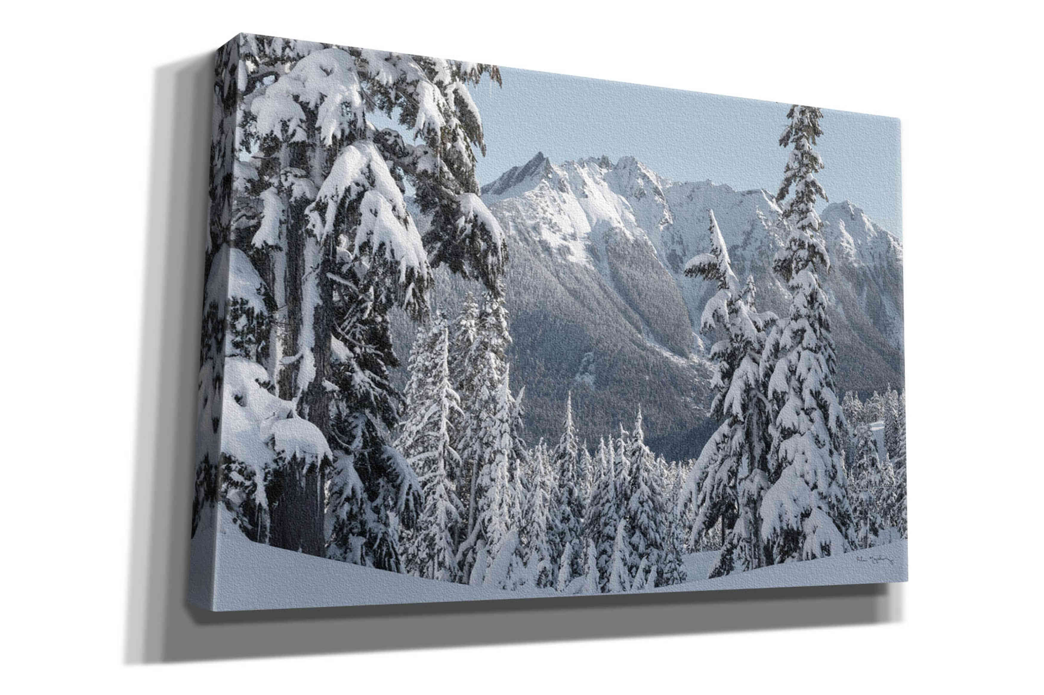 'Nooksack Ridge in Winter' by Alan Majchrowicz,Giclee Canvas Wall Art