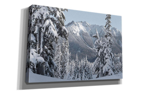Image of 'Nooksack Ridge in Winter' by Alan Majchrowicz,Giclee Canvas Wall Art