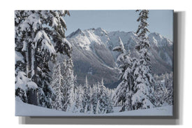 'Nooksack Ridge in Winter' by Alan Majchrowicz,Giclee Canvas Wall Art