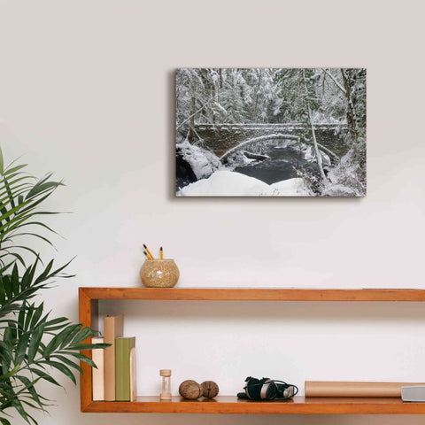 Image of 'Whatcom Creek Bridge' by Alan Majchrowicz,Giclee Canvas Wall Art,18x12