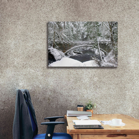 Image of 'Whatcom Creek Bridge' by Alan Majchrowicz,Giclee Canvas Wall Art,40x26