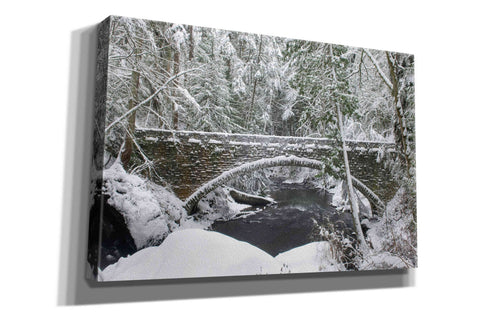 Image of 'Whatcom Creek Bridge' by Alan Majchrowicz,Giclee Canvas Wall Art